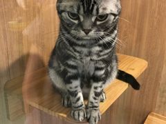 -藦茜花园宠物主题亲子互动体验馆(国顺东路店)