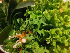 -掂档潮汕牛肉火锅(沈阳万象城店)