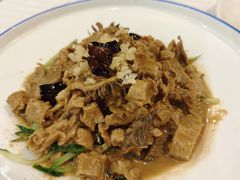 -邵年鸽(杨庄店)