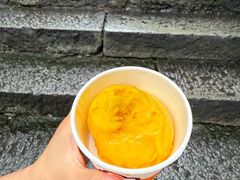 -iceason爱茜茜里·意大利健康冰淇淋(骑龙巷店)