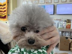 -谐和贝康宠物医院24小时·宠保定点(急重症转诊中心)