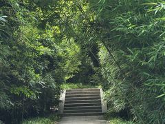 -南山风景名胜区