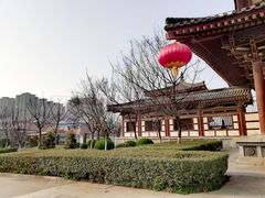 -西安青龙寺遗址景区