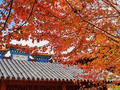 -重庆彩云湖湿地公园