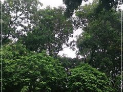 -人民公园(罗湖区)