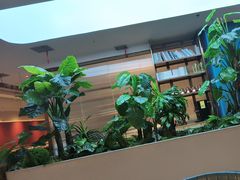 -悦海·家宴·冰花皮皮虾大锅贴(宝龙店)