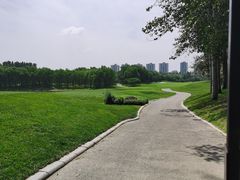 -北京鸿华高尔夫练习场