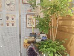 -田记宫廷奶酪