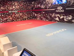 -VS SPORTS PARK运动玩乐园·团建·生日会(合生汇店)