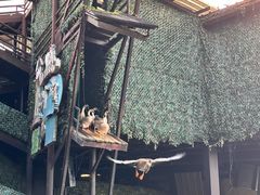 -长鹿旅游休博园