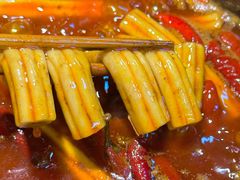 -阳阳老火锅(小南门店)