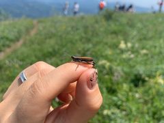 -白草畔自然风景区