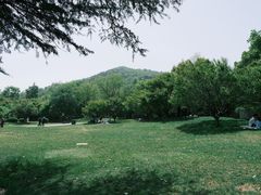 -习家池