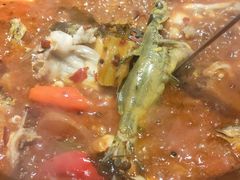 -石锅苗苗鱼(武汉首店)