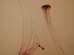 -沈阳海洋探索中心