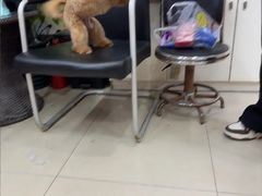 -酷狗靓猫宠物·洗护·美容·寄养(航北路店)