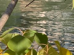 -苏州河梦清园环保主题公园