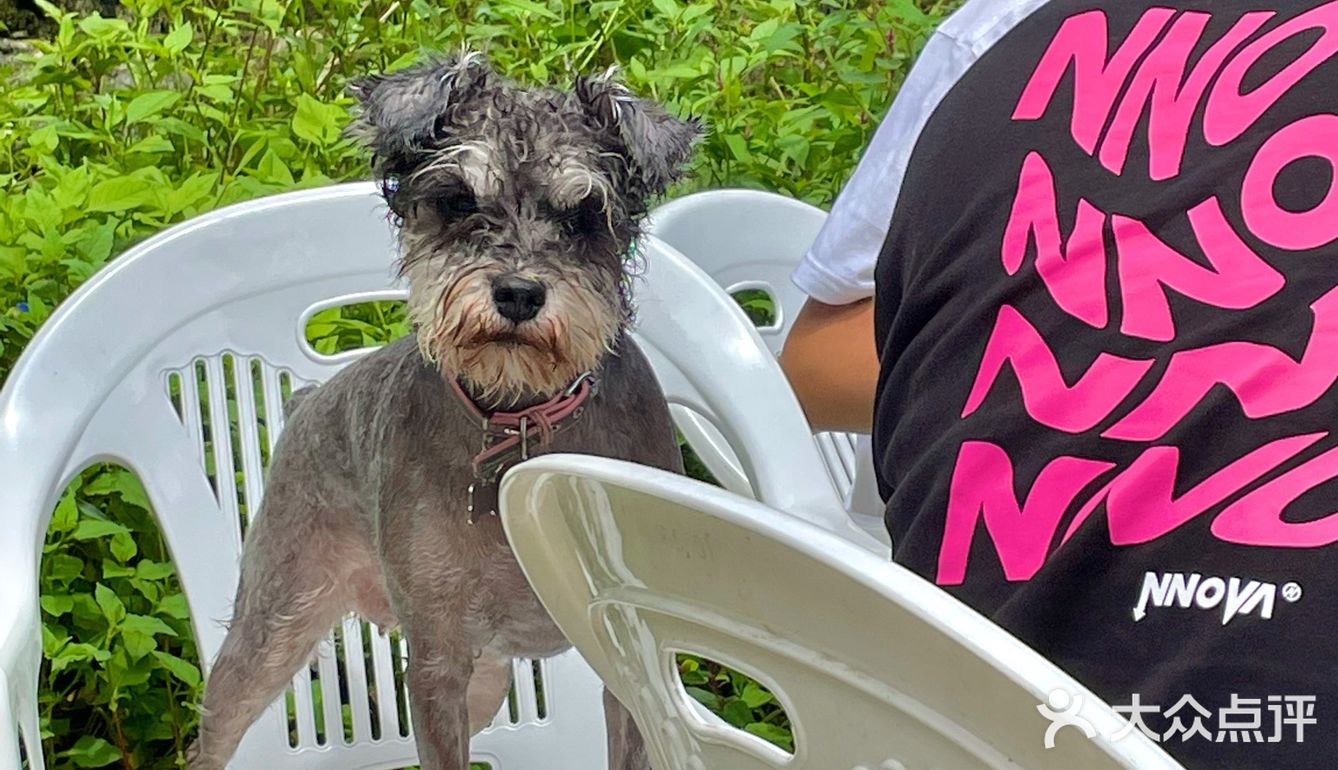 成都周边游｜60元王婆岩玩一天🚗只需2小时