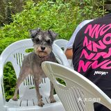 成都周边游｜60元王婆岩玩一天🚗只需2小时