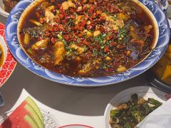 -新概念来凤鱼(璧山店)