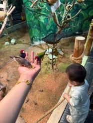 -Zoolung Zoolung动物主题公园(海信广场店)