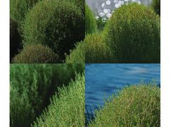 -花开海上生态园