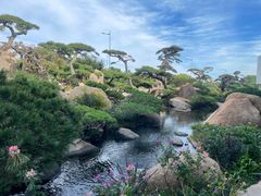 -罗红摄影艺术馆