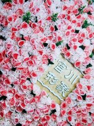 -宫川形象