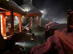 -汉拿山温泉度假酒店
