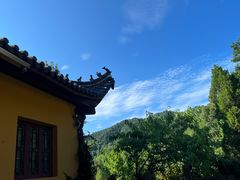 -九华山风景区