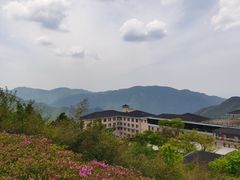 -江南天池