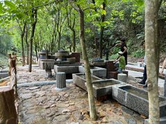 -广州白江湖森林公园