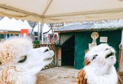 -萌宠亲子动物乐园(槐房万达店)