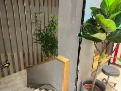 -阿莲新妆护肤造型
