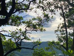 -大屏嶂森林公园