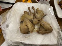 -百利鸽王(紫薇路店)