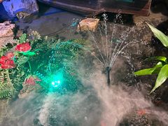 -红蜡烛-养生粥-津鲁菜(中山路店)