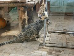-青藏高原野生动物园