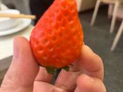 -海底捞火锅(吾悦国际广场店)