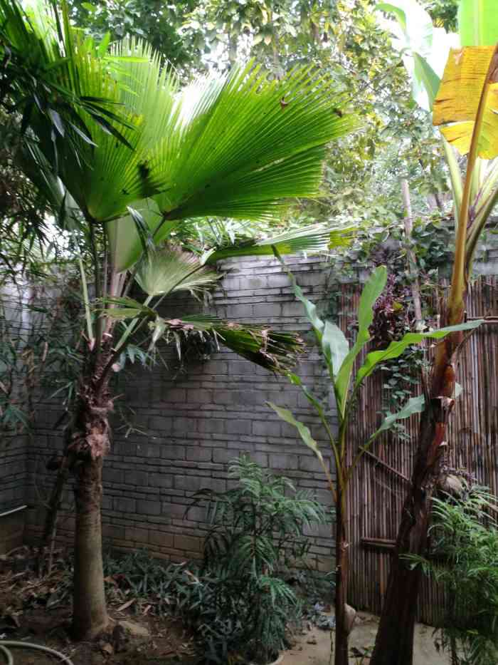 興隆南藥植物園洗漱間-