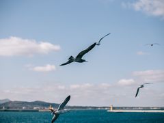 -牛岛王子面馆
