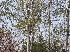 -唐山抗震纪念碑广场