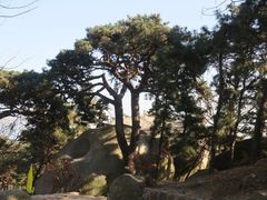 -崂山仰口游览区