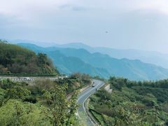 -四明山国家森林公园