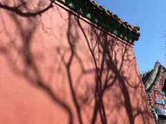 -北京市劳动人民文化宫(太庙)