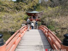 弁天堂-醍醐寺