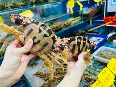 -船奇蒸汽海鲜·闽菜(八市海鲜总店)