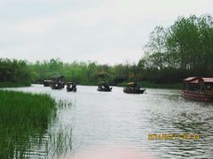 android_upload_pic-溱湖国家湿地公园