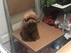 -玉华饮食店(茅台路店)
