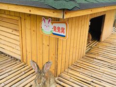 -上海崇明金茂凯悦酒店